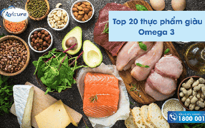 TOP 20 siêu thực phẩm giàu Omega 3 tốt nhất hiện nay